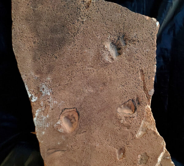 Footprints