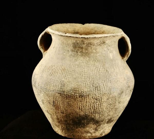 Tang Dynasty Era Pot